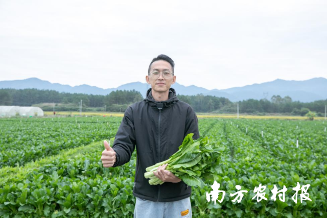 连州菜心企业点赞。