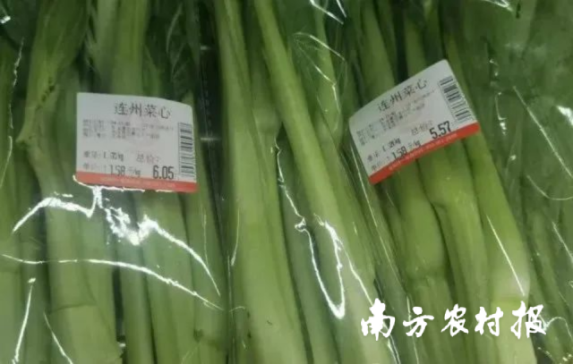 广州钱大妈门店内的连州菜心。