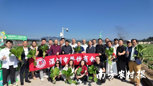 今年深圳市餐饮商会走进连州菜心基地考察。