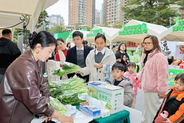 清远市民现场下单，购买新鲜连州菜心。