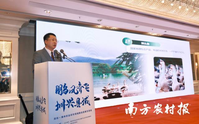潮州市農(nóng)業(yè)農(nóng)村局局長蘇鍵鋒介紹潮州農(nóng)業(yè)發(fā)展情況和各類項(xiàng)目資源。  