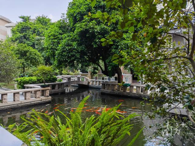   如今近2000户“美丽庭院”如雨后春笋般在全区涌现，成为“三水小景”新代言人。