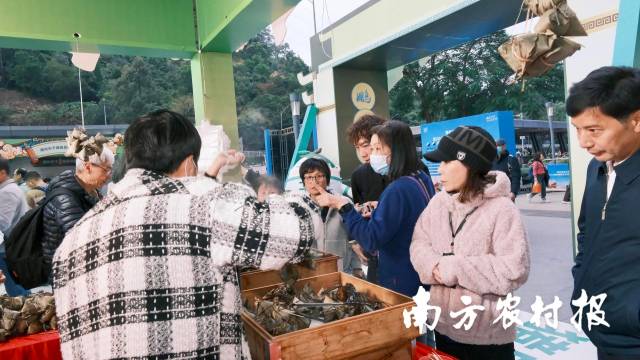 潮州市潮梔味食品有限公司展位的潮州粽熱銷,。