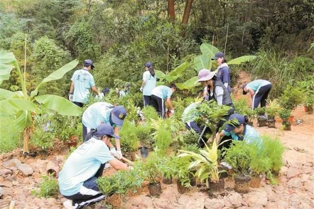 学生志愿者共建“蝶趣园”