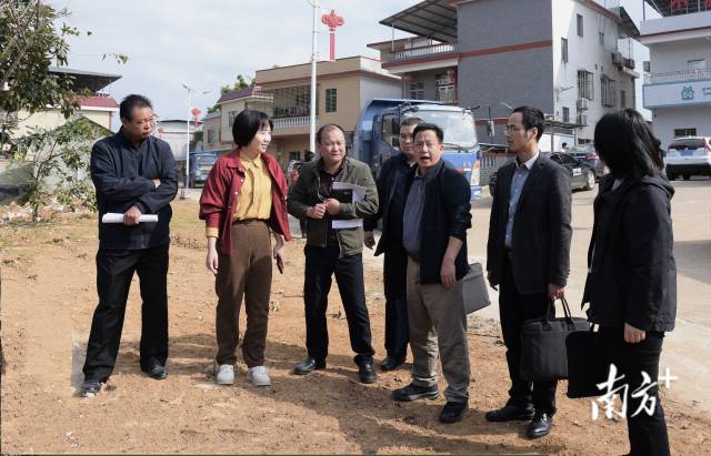 梅州市绿美人才服务团队查看仁里村主干道绿化情况