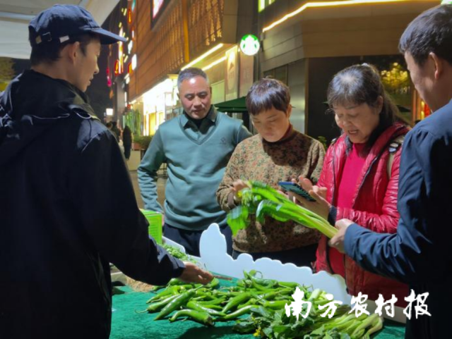 游客清晰连州菜心。