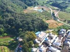 绿美英州·古树说③｜绿树成荫！英德这条村藏了个“宝藏”公园