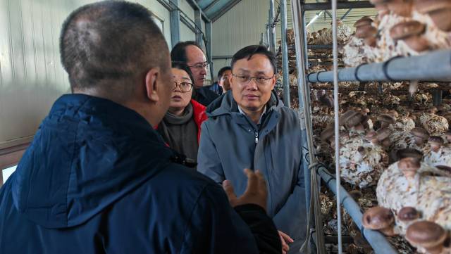 韶关考察团在老乡菇养殖基地调研。