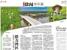 借力湾区振兴红土地｜速览《南方日报·徐闻视窗》26期