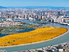 金色水乡稻田公园配套项目｜东莞“百千万·NEW BOX”赛题推介④