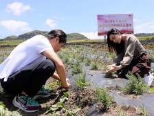 澳门兄妹的迷迭香情缘 | 澳门回归25周年人物故事①