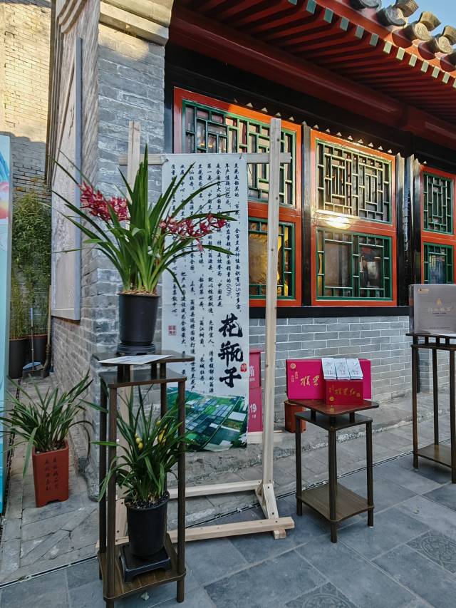 现场展出的韶关翁源的兰花。