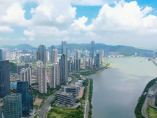 重磅微视频丨总书记心系粤港澳大湾区