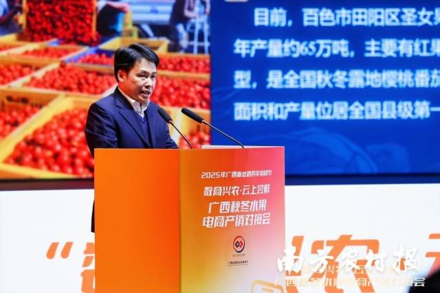 百色市田阳区人民政府副区长韦庭先现场推介百色圣女果。