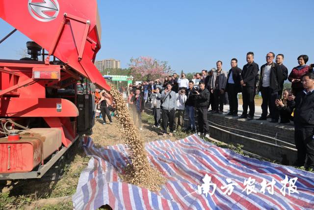 南方农村报 赵飘飘 拍摄