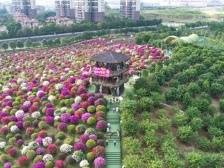 “嗨FUN惠精彩”吉他草坪音乐会即将二次开票，快来报名