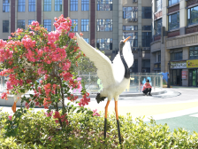 城中村绣花记：细针密缕“织”出黄花幸福生活