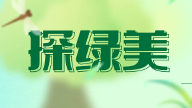 探绿美·绘就珠海生态画卷