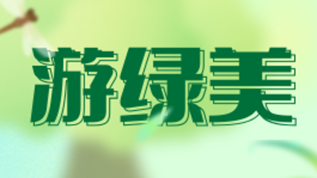 游绿美·奔赴珠海之约