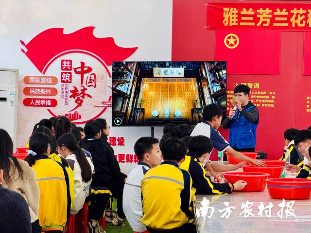 南方农村报 任峻男 拍摄