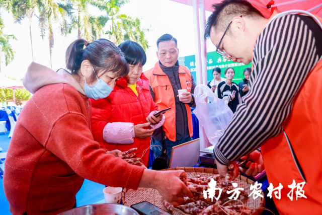 活动现场连山企业农产品吸引众多市民。