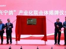 做强“兴宁鸽”，唱响“致富歌”！兴宁鸽“12221”市场体系建设启动