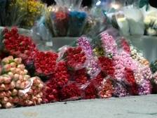 “水上花路”濠江情——湾仔“花公”“花婆”的故事