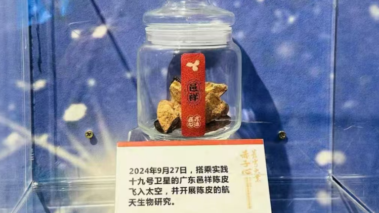 太空陳皮,！新會陳皮隨實踐十九號衛(wèi)星“上天”歸來