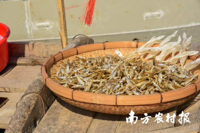 本地特色北江魚干