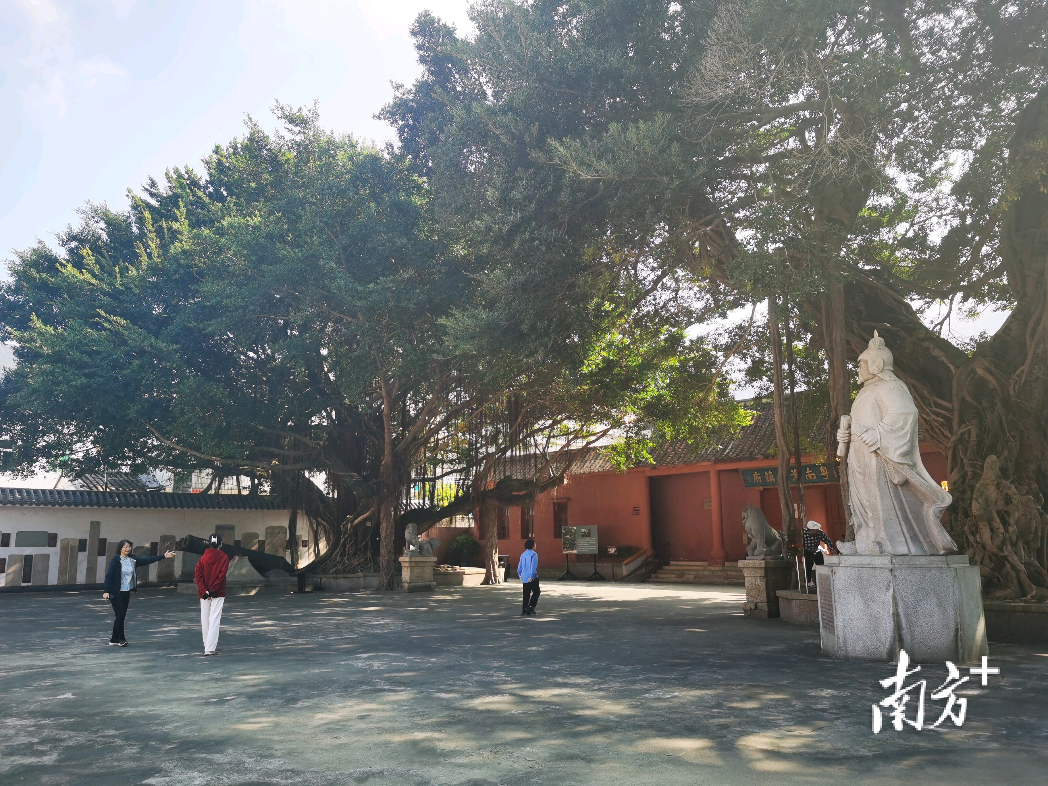 430年前抗倭英雄陈璘在南澳植树造林,300多年后还有人立下护林碑!_南方+_南方plus