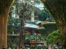 热词里的龙岗2024②｜“好City”梗本人认证，年轻人都来这Chill了