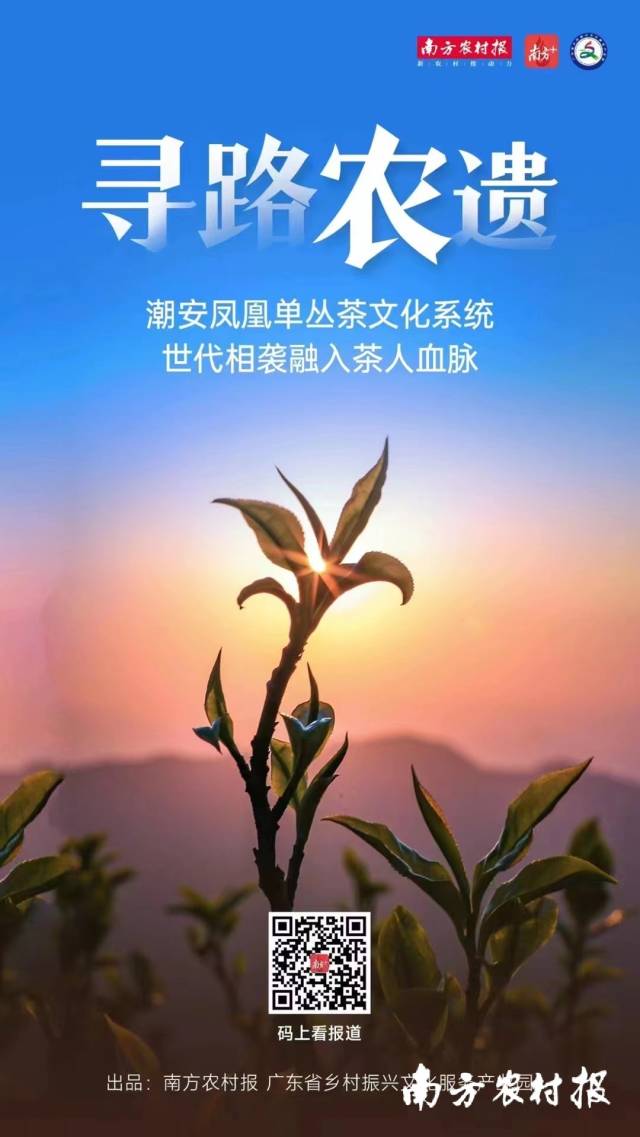 南方村落子报 陈志深 拍摄