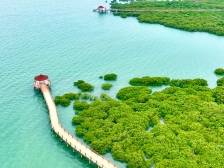 来广东，过暖冬|湛江市文广旅体局局长车洁：鲜美湛江 满目湛蓝