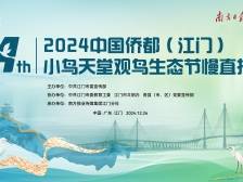 跨越黄茅海，一起来观鸟！绿美江门直播间欢迎您