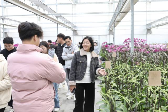乡村主播以兰花种植基地内盛开的兰花为背景拍摄推介视频。