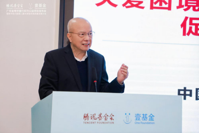 中国发展研究基金会原副理事长卢迈在发布会上发言。