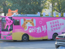 “阿莞”送你上告白巴士！跨年要浪漫全城