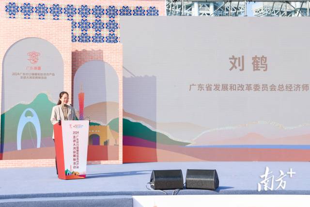 廣東省發(fā)展和改革委員會總經(jīng)濟(jì)師劉鶴致辭,。