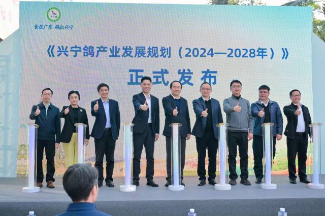 《兴宁鸽产业发展规划（2024—2028年）》正式发布。