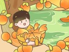 以一颗贡柑带旺一座城，德庆做了什么？丨漫话“百千万工程”