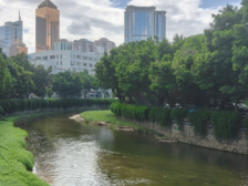 路畅、岸绿、景美！林和街推进这条路环境提升“大变化”