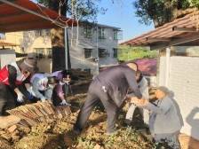 浈江新韶镇东山村：党群合力，扮靓乡村