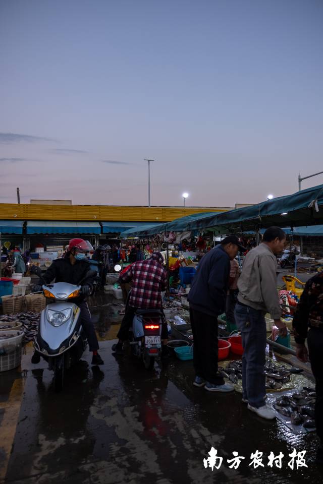 天光墟凌晨2点开市一直到晚上。图为蔬菜批发商吃早餐。