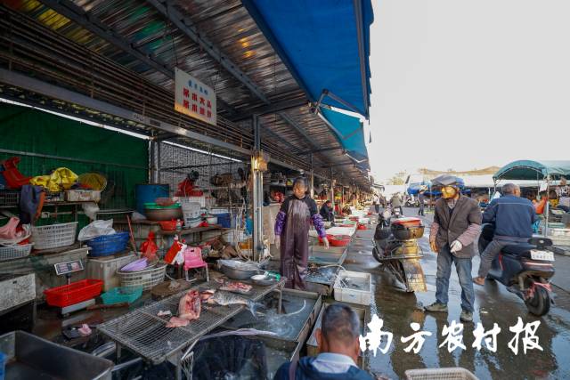 下午的鱼档仍有不少人前来挑选购买。