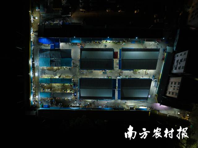 凌晨的天光墟灯火通明，此时是市场里的批发时段。