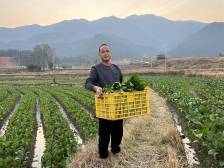 连山退役军人把冬闲田变“增收田”