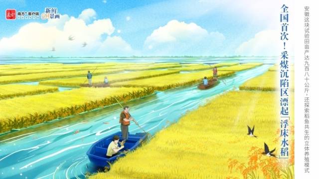 “花式”种田？采煤沉陷区的浮床水稻丰收了 | 新鲜“时”景画
