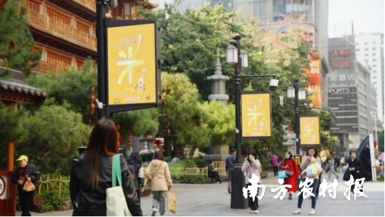 此前“清远丝苗米”品牌亮相广州北京路