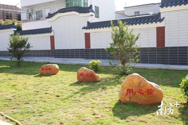 莫村小学绿意盎然。杨证民 摄