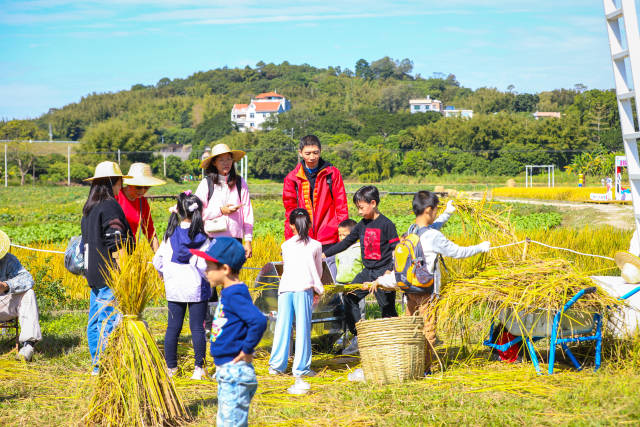 广东粮食安全守护者行动正式自9月1日进入守护阶段以来，来自全省200个稻田守护者们积极踊跃，通过线上线下守护稻田。（吴秒衡 摄）